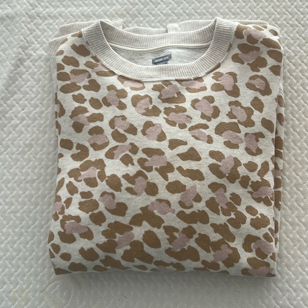 Aerie Sweatshirt